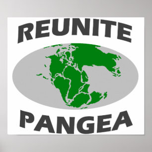 Affiches Réunir Pangea