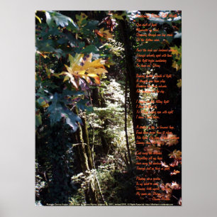 Affiches Réveil de la valeur divine d'individu