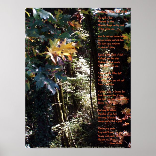 Affiches Réveiller la valeur divine (Devant)