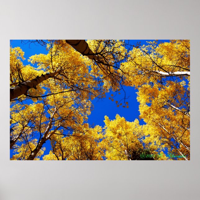 Affiches Rêver en couleur (Devant)