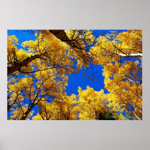 Affiches Rêver en couleurs