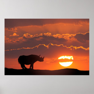 Affiches Rhino au coucher du soleil, Masai Mara, Kenya