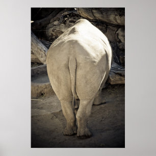 Affiches Rhino Butt