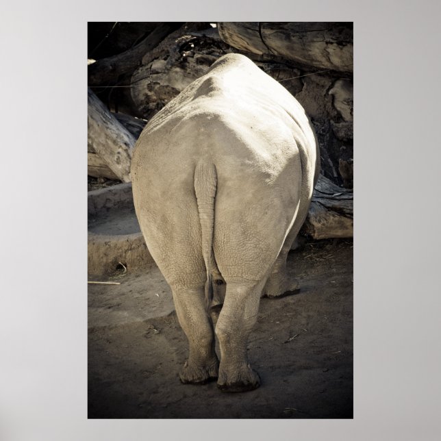 Affiches Rhino Butt (Devant)