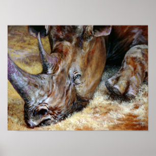 Affiches Rhinoceros colorés Photo imprimée