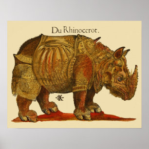Affiches Rhinoceros d'antiquité de Rhino vintage Durer