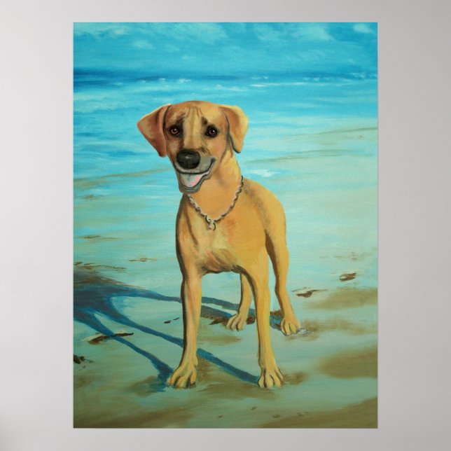 Affiches Rhodesian Ridgeback "Tony" sourit (Devant)