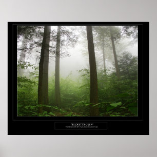 Affiches Ricketts Glen