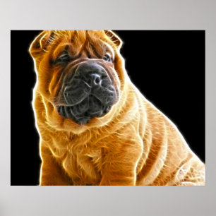 Affiches Rincement, Chinois Shar Pei Chien Coquelicot