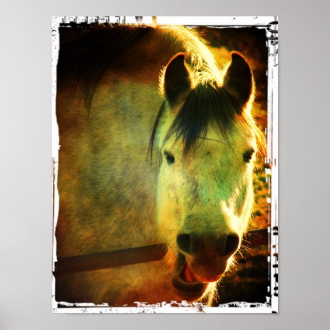 Affiches Rire (Devant)