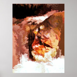 AFFICHES RIVER SPIRIT