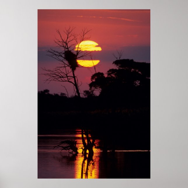 Affiches Rivière Sabi au coucher du soleil, Parc national K (Devant)