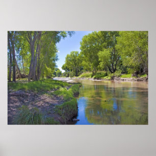 Affiches Rivière San Pedro près de Fairbank