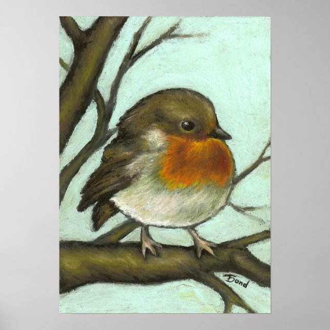 Affiches Robin (Devant)