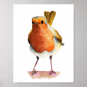 Affiches Robin Bird aquarelle peinture