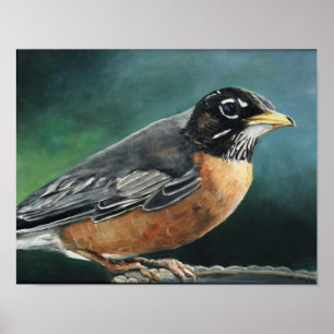 Affiches Robin Bird Art Print
