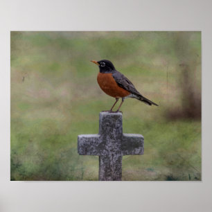 Affiches Robin on a cross
