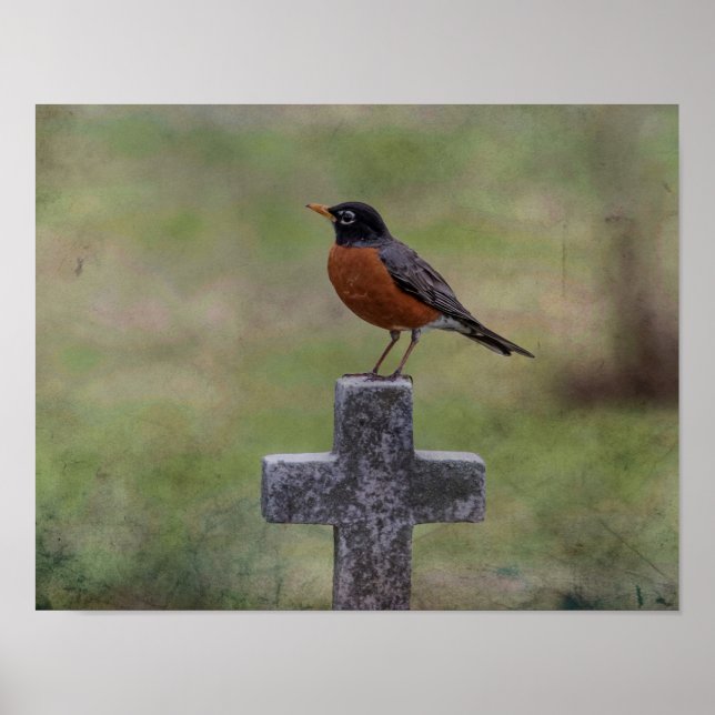 Affiches Robin sur une croix (Devant)
