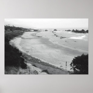 Affiches Roche de phoque - Duotone