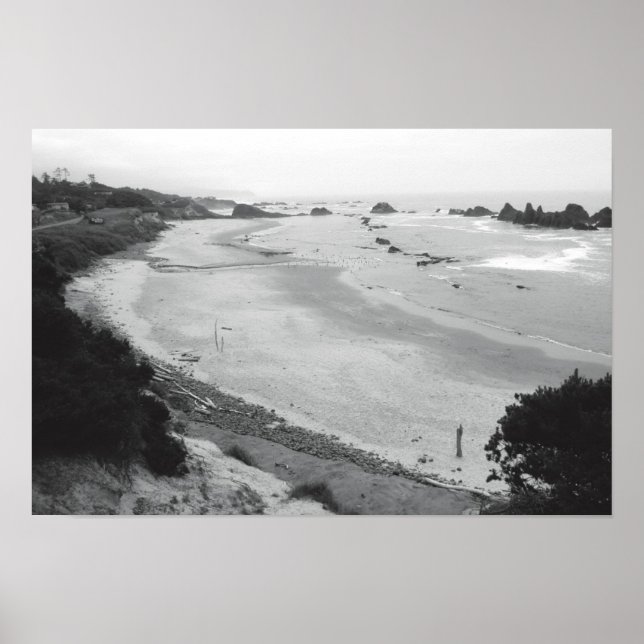 Affiches Roche de phoque - Duotone (Devant)