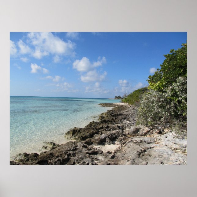 Affiches Rocky Shore - Coco Cay (Devant)