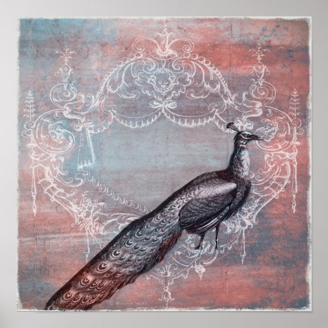 Affiches Rococo French Blue & Pink Peacock Imprimer (Devant)