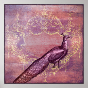 Affiches Rococo French Purple Peacock Imprimer