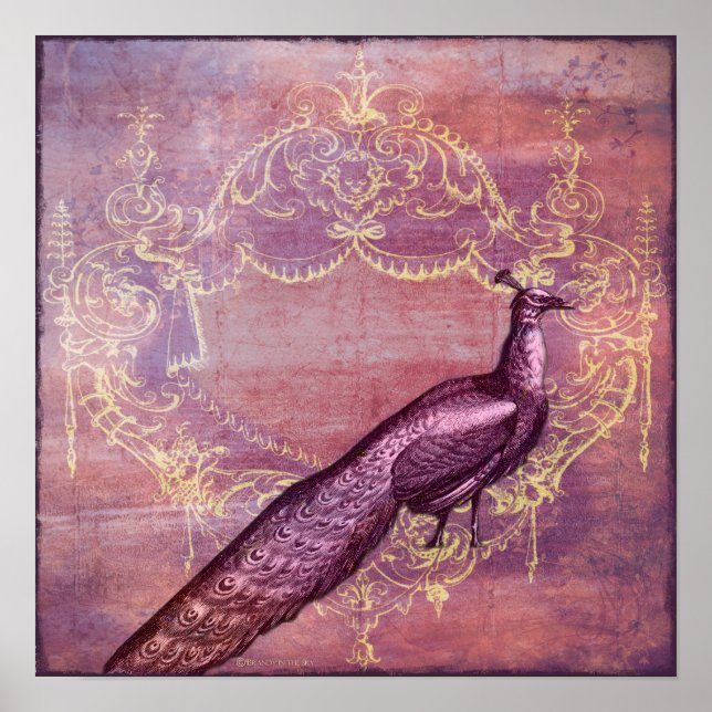 Affiches Rococo French Purple Peacock Imprimer (Devant)