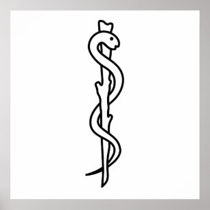 Affiches Rod d'Asclepius