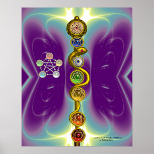 AFFICHES ROD OF ASCLEPIUS 7 CHAKRAS,YOGA ,SPIRITUAL ENERGY