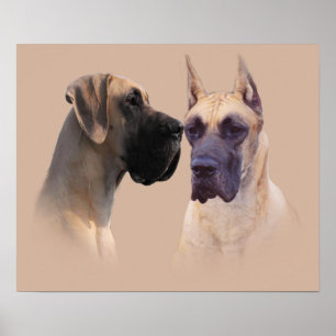 Affiches Roi de great dane de copie de chiens
