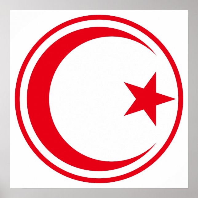 Affiches Rondel de l'armée de l'air tunisienne (Devant)