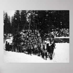 Affiches Rondins étant transportés sur Sleigh par une