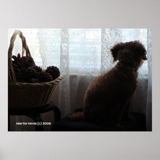 Affiches Rookie attend (Devant)