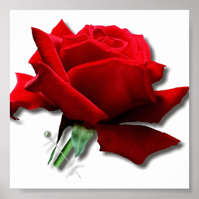 Affiches Rose (Devant)