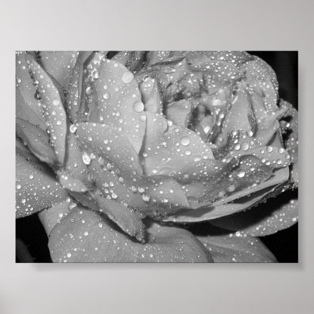 Affiches Rose (Devant)