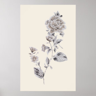 Affiches Rose beige