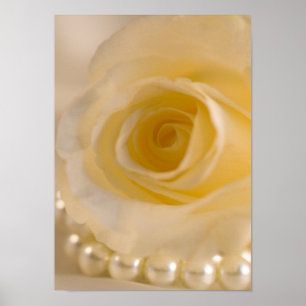 Affiches Rose blanche et perles