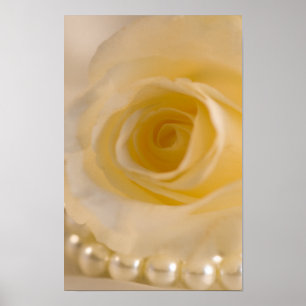Affiches Rose Blanche et Perles