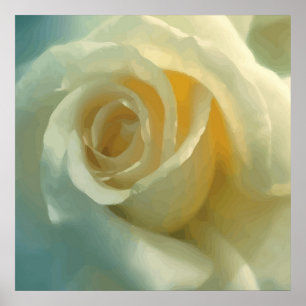 Affiches Rose blanche vectorielle