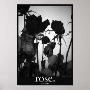 Affiches rose [bordure]