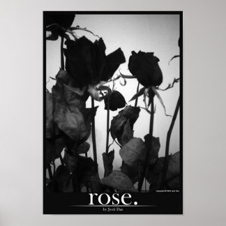 Affiches rose [bordure]