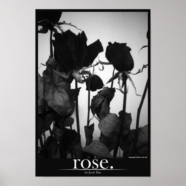 Affiches rose [bordure] (Devant)