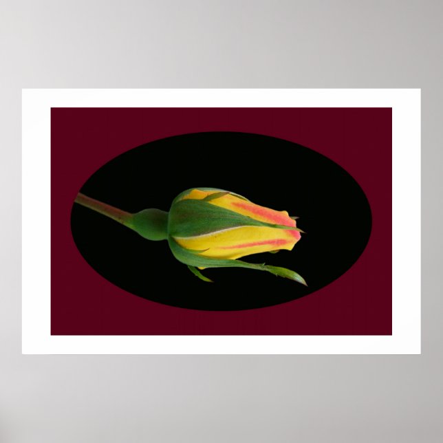 Affiches Rose Bud (Devant)