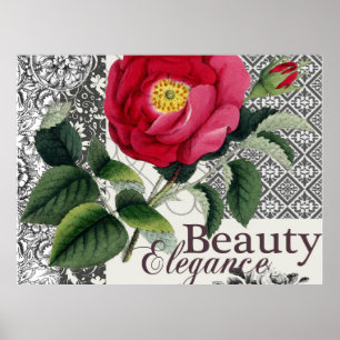 Affiches Rose Damask Jolie Florale Antique