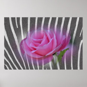 Affiches Rose d'impression Zebra
