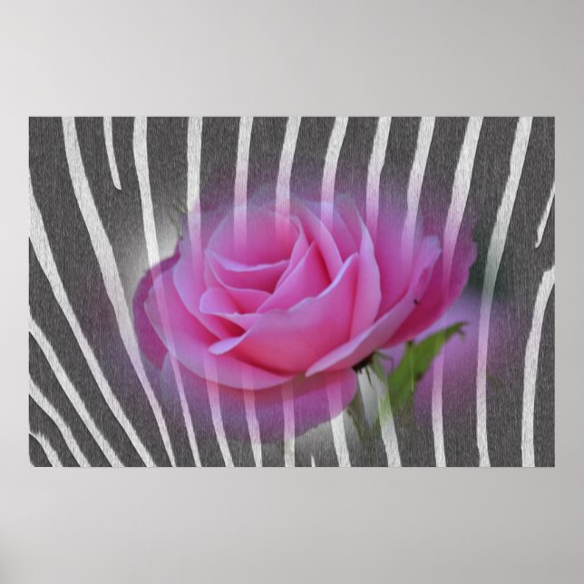 Affiches Rose d'impression Zebra (Devant)
