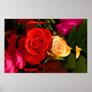 Affiches Rose jaune rouge II