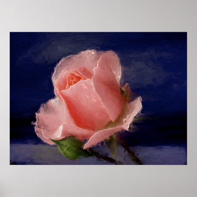 Affiches Rose minuit (Devant)