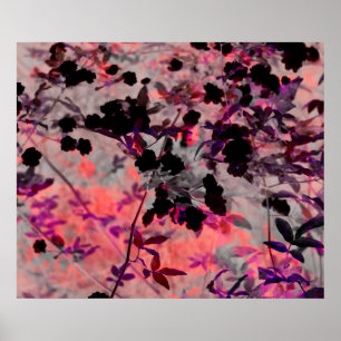 Affiches Rose noir romantique asiatique style fleur motif a